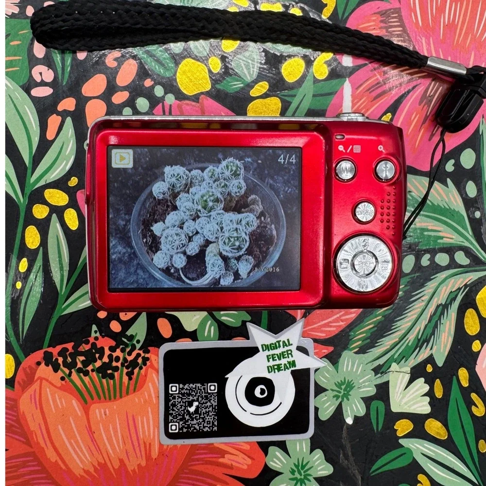 Polaroid iex29 digital
